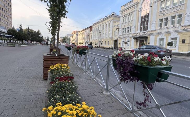 В Курске саженцы лип из кашпо высаживают в грунт на ул.Ленина