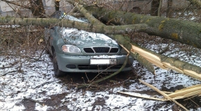 Фото Павла Камнева