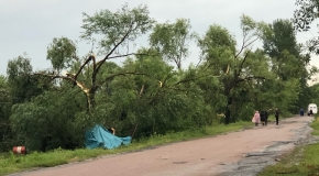 Фото из соцсетей