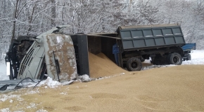 В результате ДТП перевернулся КамАЗ с зерном
