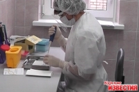 Существует ли в Курске угроза африканской чумы?