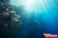 Поляки представили игру о гибели подводной лодки «Курск»