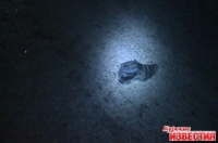 В поселке Иванино Курской области водитель насмерть сбил пешехода