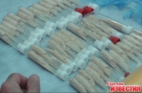 УФСКН пресек поставку афганского героина в Курск