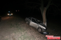 Угонщик врезался в дерево
