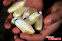 В Курске задержана наркосбытчица