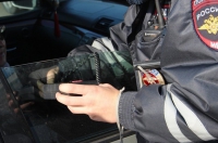 Рейд ГИБДД по тонировке