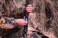 Начало охотничьего сезона перенесли