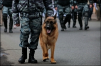 Гарнизонный развод полиции
