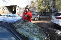 В Курске лось разбил лобовое стекло машины
