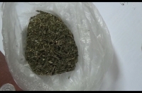 В Курске задержан «хранитель» марихуаны