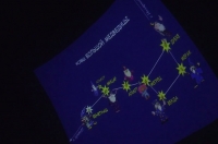 В Курском областном планетарии прошла серия лекций «Звёзды для любимых»