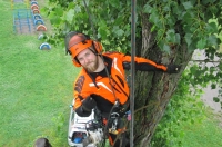 Куряне-арбористы спасают деревья