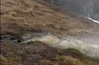 Курск. Жители проспекта В. Клыкова заявили об экологической катастрофе в Крутом Логу