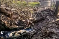 В ручей под Курском сливали нечистоты