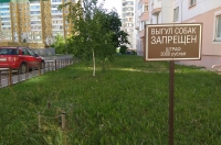 Курск. Выгул запрещён. Что грозит хозяевам собак за нарушение? (ВИДЕО)