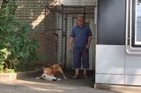 «Собака себя защищала». Курянин, которого подозревают в травле собаки на кота, пояснил, зачем делал это