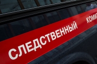 Курская область. По факту пропажи 7-летнего мальчика возбуждено уголовное дело по статье «Убийство»