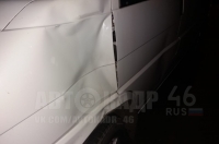 В Курске лось атаковал автомобиль