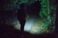 Курская область. В Свободе проверят освещение в связи с нападением на школьниц