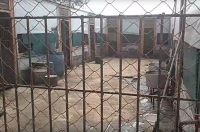 Курск. «Сейчас около 20 собак вывезли и, как только вы уедете, их вернут обратно!». В пункте передержки в д. Чаплыгина проходит проверка