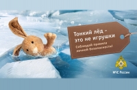 Четверо курян утонули из-за неокрепшего льда