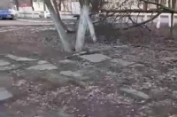 Курянка сняла на видео упавшие деревья и мусор в сквере у ресторана «Орбита»