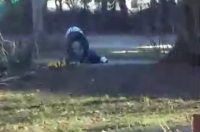 «Помогите, он же бьёт ее»: в Курске обсуждают скандальное видео