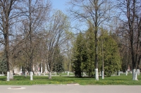 Курск. В парке у Дома культуры железнодорожников сделают новое освещение