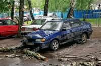 В Курске ночью падали деревья