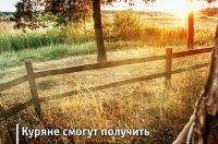 Курянам рассказали в каких районах они могут получить бесплатно землю