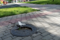 Курск. В парке Дзержинского проломилась крышка люка