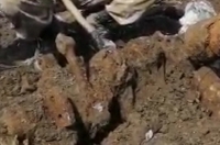 В Курской области поисковики подняли двигатель советского самолета, сбитого в годы ВОВ