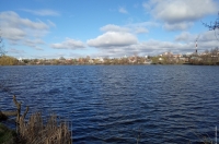 В Курске планируют сделать зону отдыха на Стрелецком озере