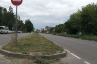 В Курске начали косить бурьян после публикации в СМИ