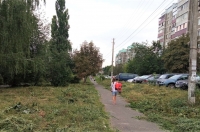 В Курске улицы зарастают травой