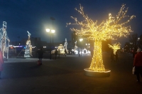 В Курске 3,5 млн.рублей потратят на новогодние уличные украшения