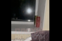 В Брянском ковидарии завелись тараканы