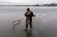 В Курской области водолазы спасли собаку, которая провалилась под лёд