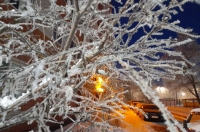 В Курске 10 марта будет минус 10 и ветер порывами до 15 метров в секунду