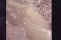 В Курске нечистоты продолжают сливать в Крутой Лог по ночам