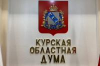 Депутаты Курской областной Думы раскритиковали работу омбудсмена Владимира Фирсова