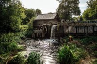 Водяную мельницу в Курской области запустили в тестовом режиме