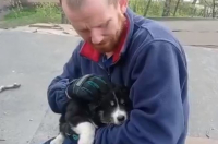 Куряне ночью спасли 3 брошенных щенков