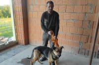 В Курске волонтеры спасли собаку, которая упала в подвал на стройке