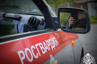 За неделю курские росгвардейцы пресекли более 160 административных правонарушений