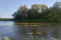 В Курской области 10 августа ожидается до 32 градусов жары