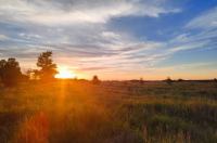 В Курской области конец августа ожидается жарким