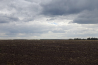 В Курской области ожидается дождливая неделя