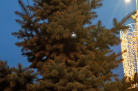 В Курске 12 сентября днём местами пройдут дожди